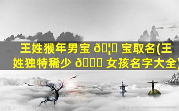 王姓猴年男宝 🦈 宝取名(王姓独特稀少 🐋 女孩名字大全)